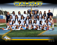 2013 Varsity Soccer Team & Individuals Photos
